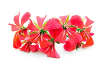 Load image into Gallery viewer, Natural Room Spray - Frankincense, Sea Salt and Geranium